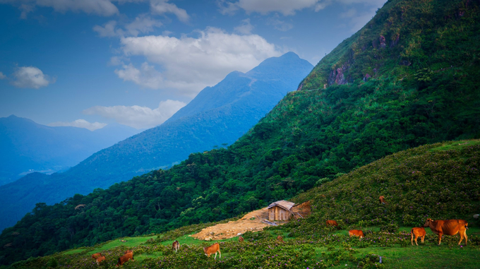 Núi non hùng vĩ với những cảnh sắc tuyệt đẹp đã tạo cho thiên nhiên Bình Liêu nét riêng độc đáo của vùng Đông Bắc.