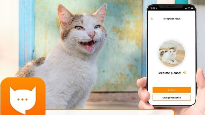 Ứng dụng cho phép chủ sở hữu giải mã được những tiếng 'meo meo' của loài mèo. Ảnh:bbc