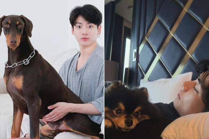 Cún cưng của Jungkook BTS lần đầu lộ diện  BlogAnChoi