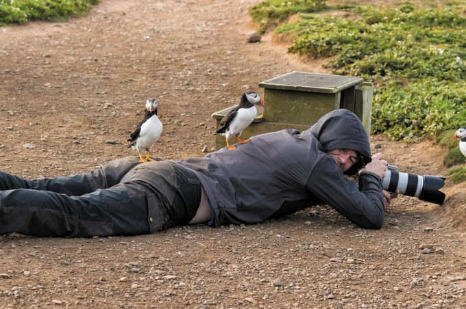 Những chú chim hải âu cổ rụt leo hẳn lên người nhiếp ảnh gia một cách thoải mái, không hề lo sợ. Ảnh: The Guardian.