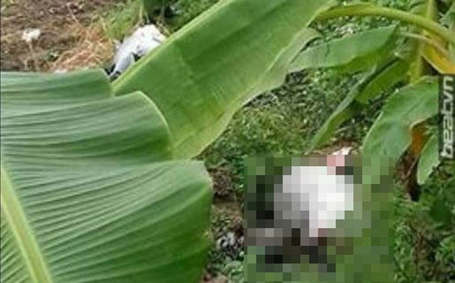 Vụ thi thể cô gái 17 tuổi bị trói tay chân ở Yên Bái: Triệu tập một người đàn ông. (Ảnh minh họa)