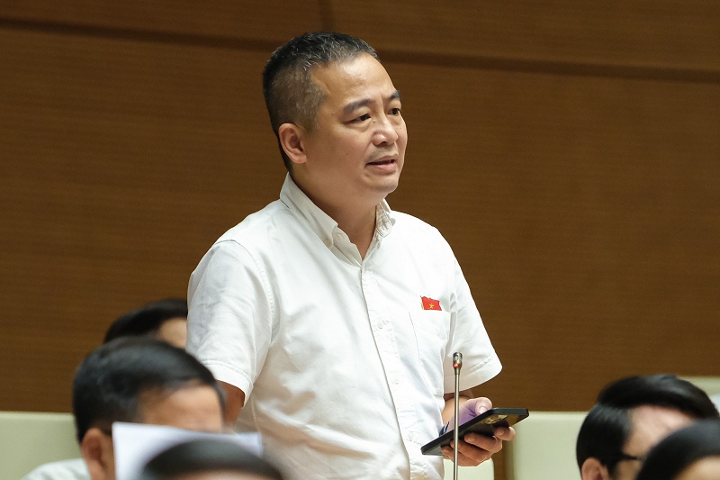 ĐBQH Nguyễn Lân Hiếu đề nghị nên cấm bán sách tham khảo trong nhà trường.