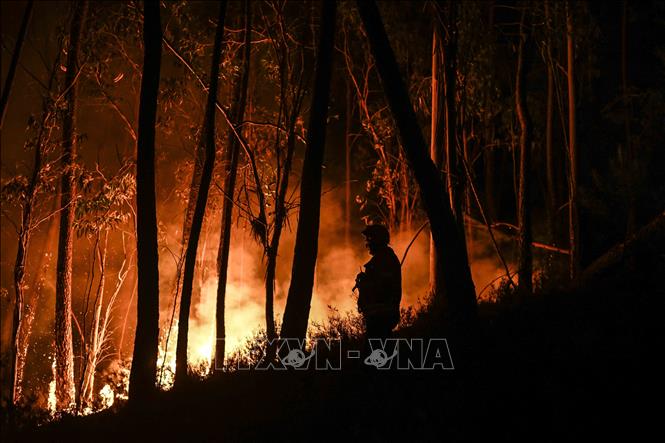 Hiện trường cháy rừng tại Casais do Vento, Alvaiazere, Bồ Đào Nha, ngày 10/7/2022. Ảnh: AFP/TTXVN