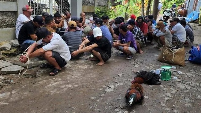 35 người bị bắt tại sòng gà.