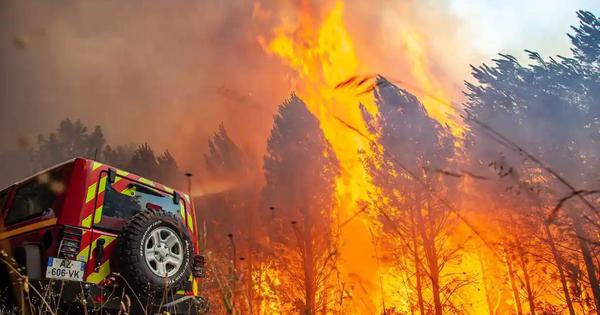 Một đám cháy rừng ở gần Landiras, Tây Nam nước Pháp - Ảnh: AP