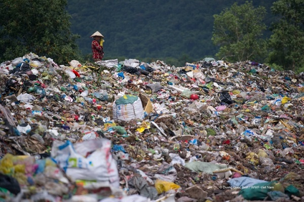 Phần lớn chất thải nhựa làm ô nhiễm sông và biển ở Việt Nam là đồ nhựa dùng một lần.