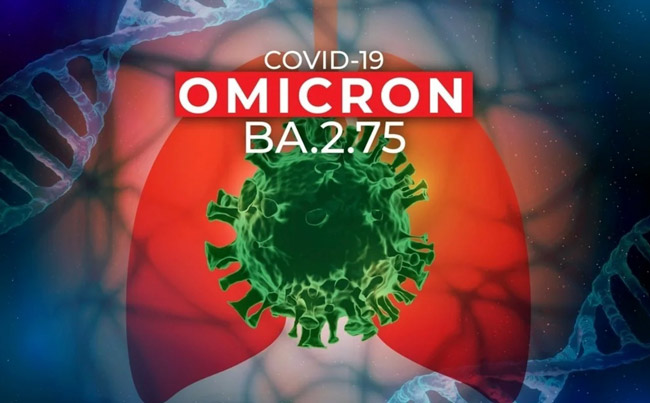 BA.2.75, dòng phụ thế hệ thứ 2 của Omicron (Ảnh: Nguồn itrernet)