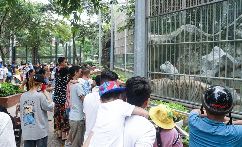 Vườn thú Hà Nội đón lượng khách tăng vọt trong 4 ngày nghỉ.