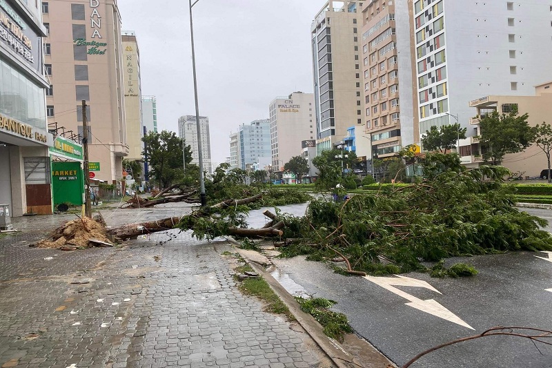 Trên nhiều tuyến đường ở TP Đà Nẵng, cây cối bị gió bão quật ngã nằm la liệt.