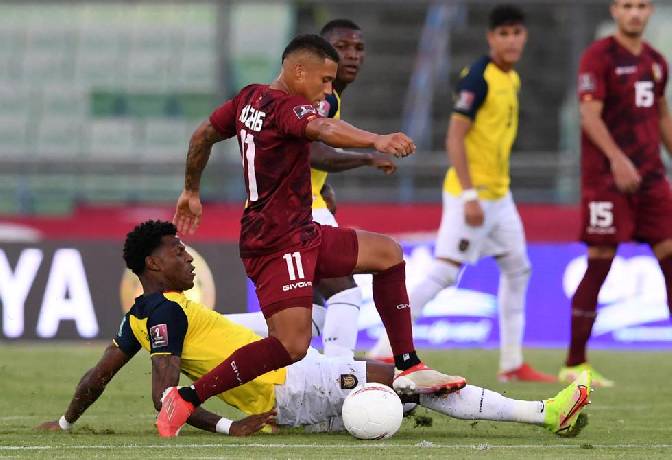 Soi kèo, dự đoán kết quả bóng đá World Cup 2022 trận Qatar vs Ecuador