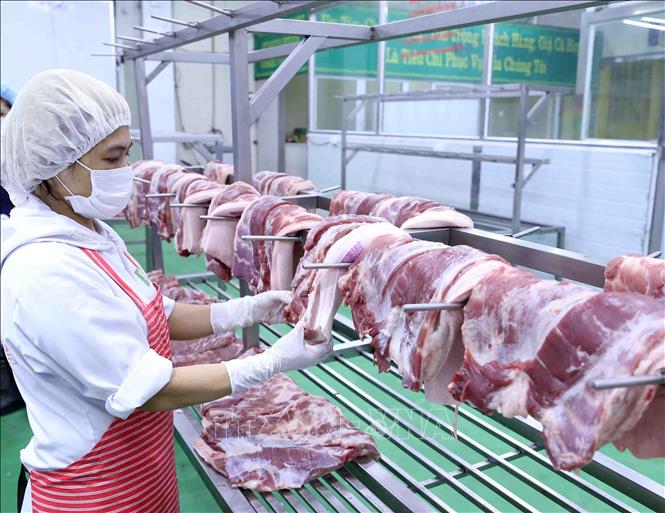 Giá thịt lợn thấp trong khoảng 50.000 đến 55.000 đồng/kg. Ảnh: TTXVN.