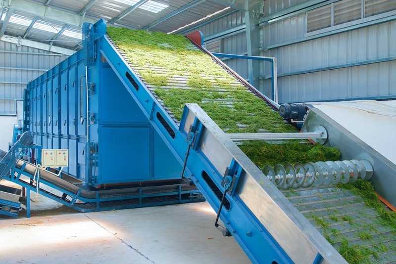Hệ thống sấy cỏ sử dụng khí mê-tan được xử lý qua Biogas giúp trang trại Vinamilk tiết kiệm được nhiều chi phí điện năng khi vận hành.