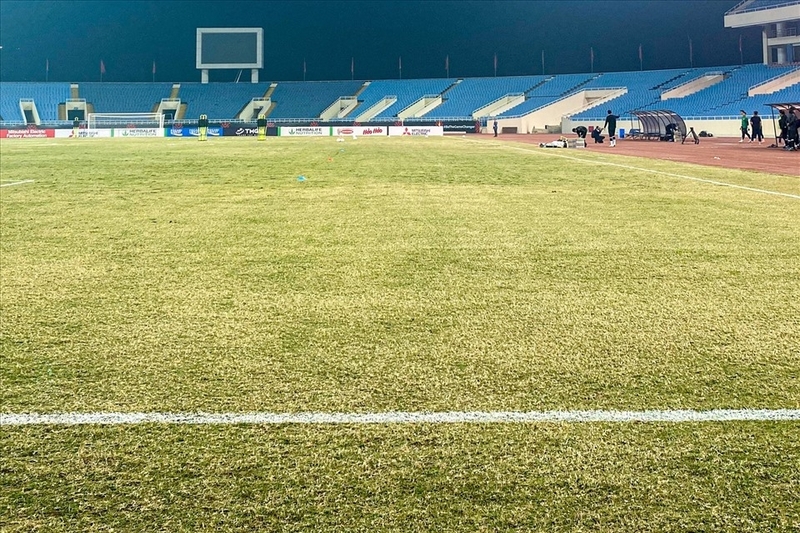Mặt cỏ sân Mỹ Đình trong trận đấu giữa tuyển Việt Nam và Malaysia