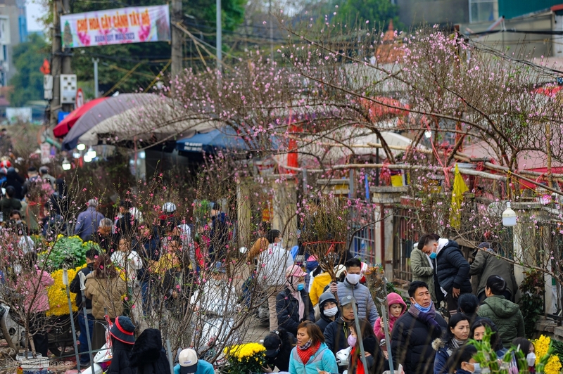 Chiều 29 Tết, khung cảnh tại chợ hoa Quảng Bá, Quảng An... tấp nập khách đến mua các loại hoa như đào, quất, mai, hoa ly....để đón Tết Quý Mão 2023