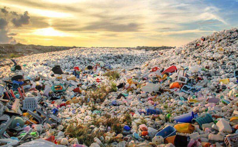 Vấn đề ô nhiễm rác thải nhựa là vấn đề toàn cầu, không chỉ làm gia tăng phát thải CO2, mà còn đe dọa đa dạng sinh học, đặc biệt là sinh tồn của các loài sinh vật biển.