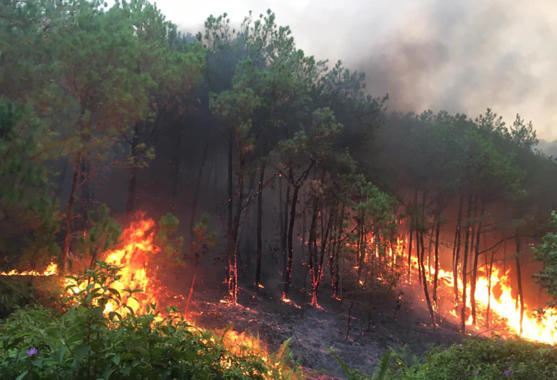 Từ ngày 06/7/2023 đến ngày 15/7/2023, các khu rừng trên địa bàn tỉnh có nguy cơ xảy ra cháy rừng cao với cấp độ IV-V (cấp nguy hiểm và cực kỳ nguy hiểm). Ảnh minh họa