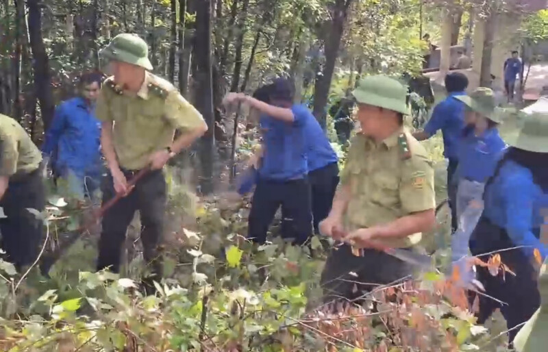 Hơn 250 đoàn viên, thanh niên cùng các cán bộ kiểm lâm tham gia phát quang, thu gom thực bì tại khu vực rừng huyện Nam Đàn.
