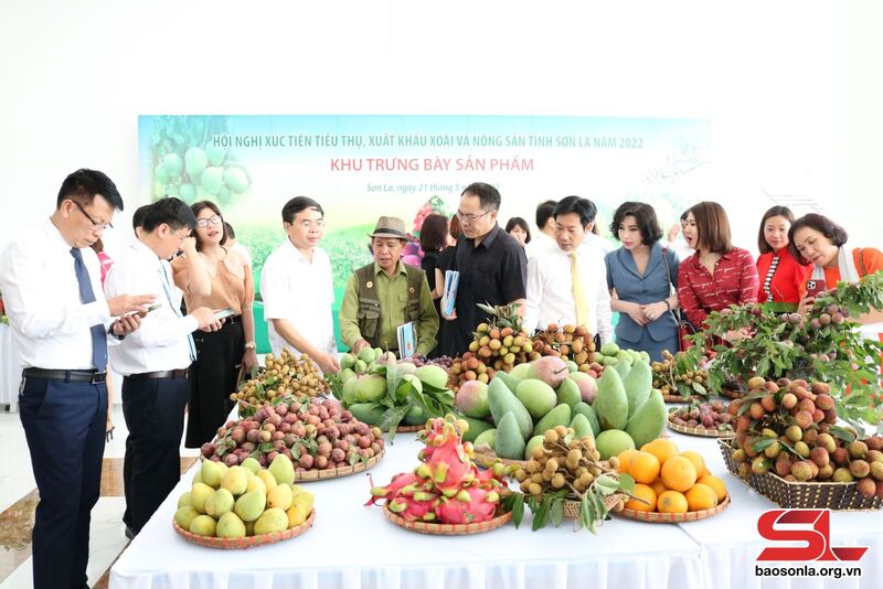Đại biểu tham quan gian hàng trưng bày sản phẩm trái cây an toàn Sơn La.