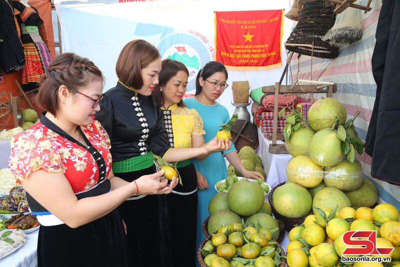 Sản phẩm nông sản tại Ngày hội giới thiệu nông sản huyện Phù Yên.