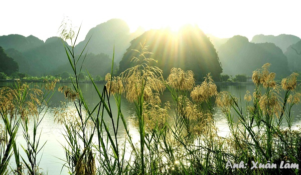 mua-hoa-lau-trang-220231123090736.5299150