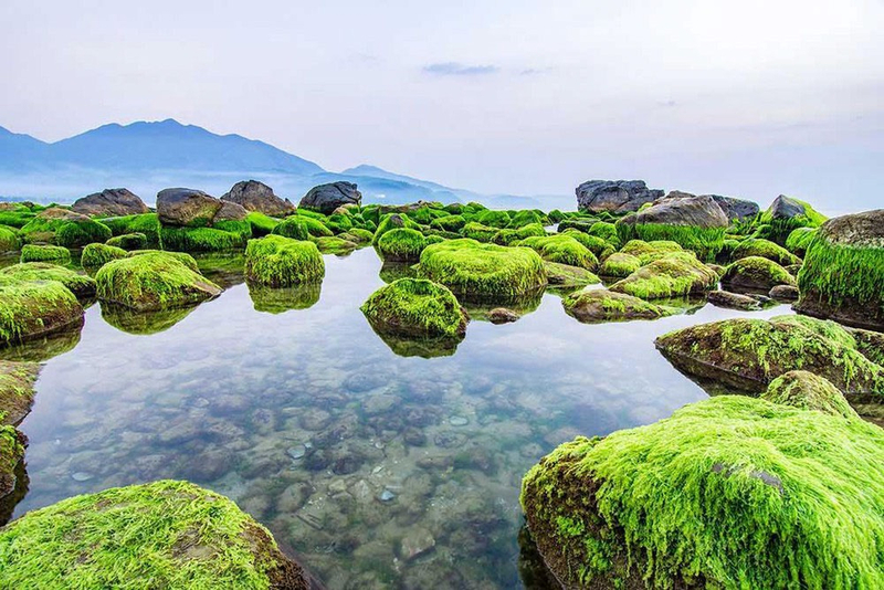 Đà Nẵng thành lập công viên sinh thái ghềnh Nam Ô nhằm bảo vệ ghềnh Nam Ô và khai thác du lịch phục vụ người dân và du khách.