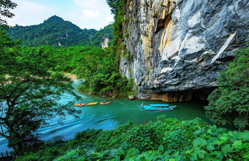 Vườn quốc gia Phong Nha - Kẻ Bàng/ https://dulich.petrotimes.vn/