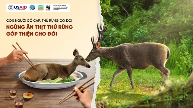 Chiến dịch Ngừng ăn thịt thú rừng, góp thiện cho đời sẽ có sự hóp mặt của Hoa hậu Hoàn Vũ Việt Nam năm 2017 H'hen Nie. Ảnh: USAID Biodiversity Conservation (thuộc dự án VFBC)/ WWF-Việt Nam