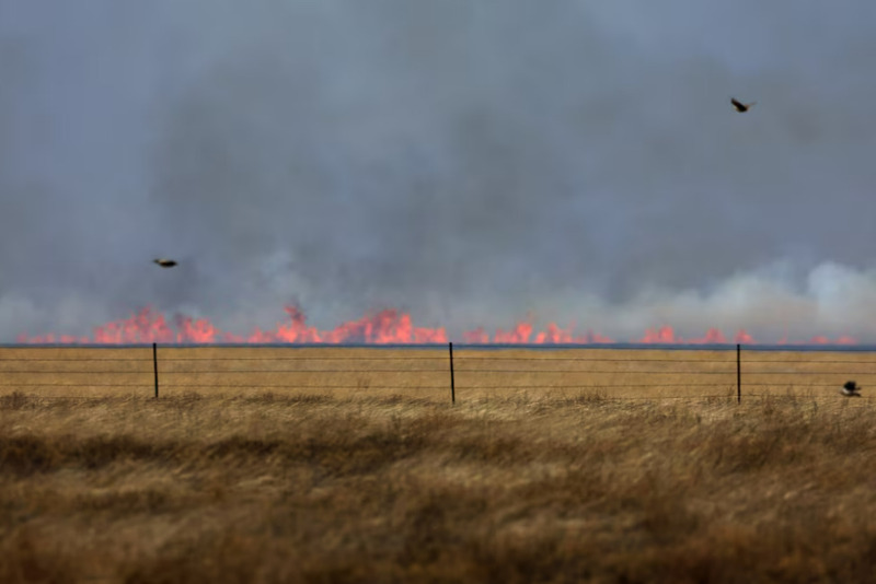 Cháy rừng do các đợt nắng nóng, ở Pampa, Texas, Mỹ, ngày 2/3/2024. Ảnh Reuters