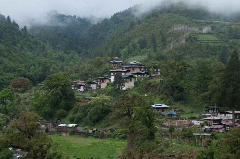 Bhutan là hình mẫu toàn cầu về bảo vệ môi trường khi đạt mức carbon âm tính nhờ bảo tồn rừng và phát triển hiệu quả. (Ảnh minh họa: Internet)