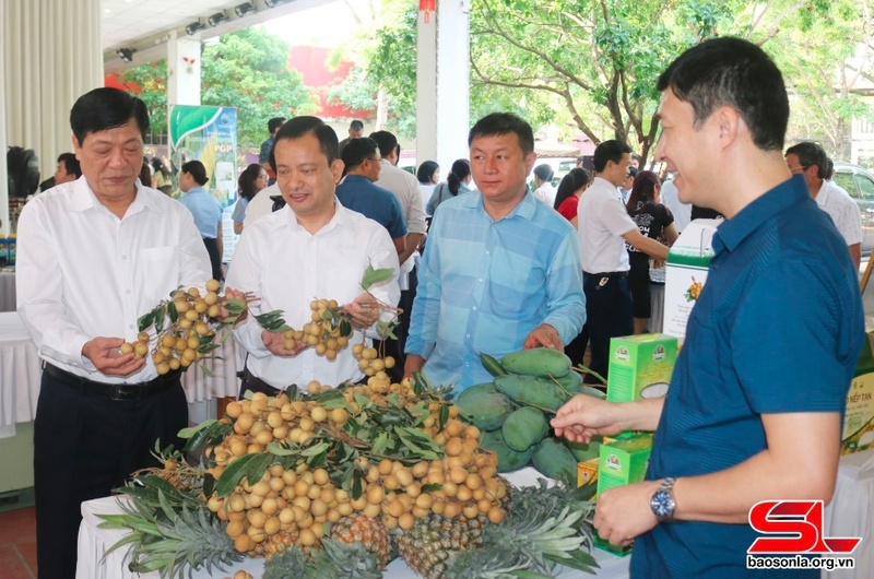 Các đại biểu thăm quan gian hàng trưng bày sản phẩm nông sản của huyện Sông Mã tại Hội nghị nông dân đối thoại với doanh nghiệp, HTX hỗ trợ tiêu thụ nông sản. 