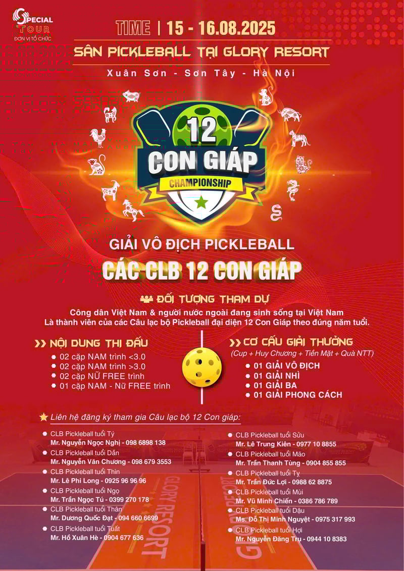 giai-piclkepall-12-con-giap-2025