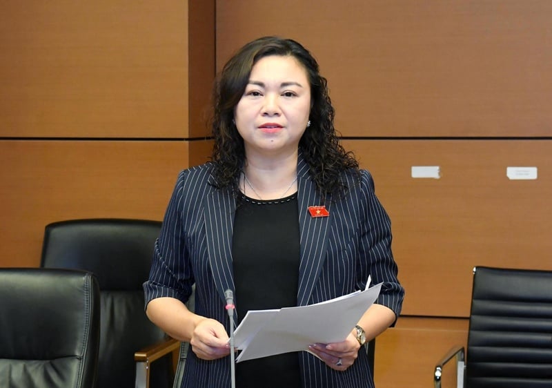 Đại biểu Đặng Bích Ngọc (Đoàn ĐBQH tỉnh Hòa Bình) phát biểu tại tổ.