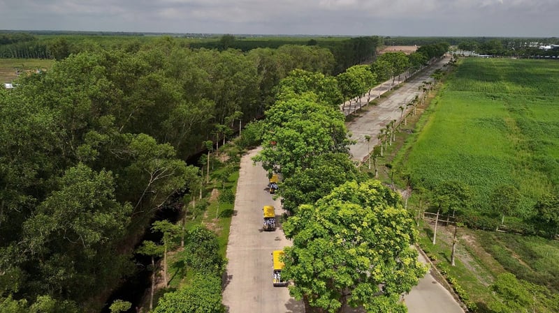 Xe điện cùng với xe đạp là những loại phương tiện di chuyển phổ biến bên trong trang trại (Ảnh: Văn Thành)