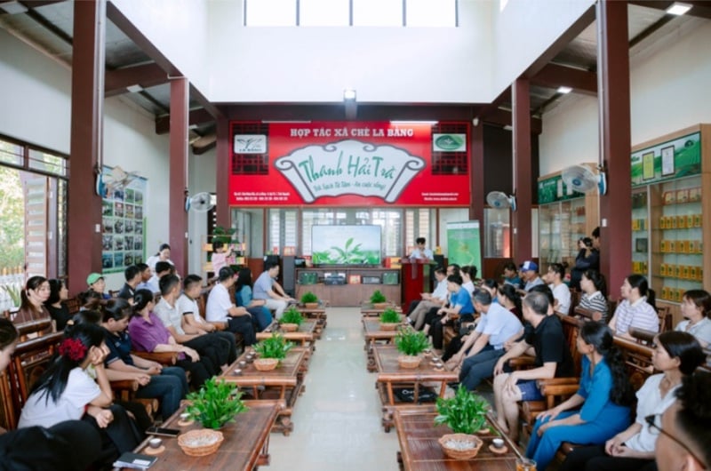 Bà con nông dân chăm chú lắng nghe hướng dẫn từ các chuyên gia trong buổi tập huấn.