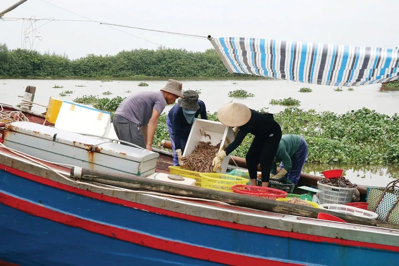 Ngư dân tỉnh Hưng Yên chuẩn bị đưa hải sản lên bờ sau chuyến đánh bắt trên biển.