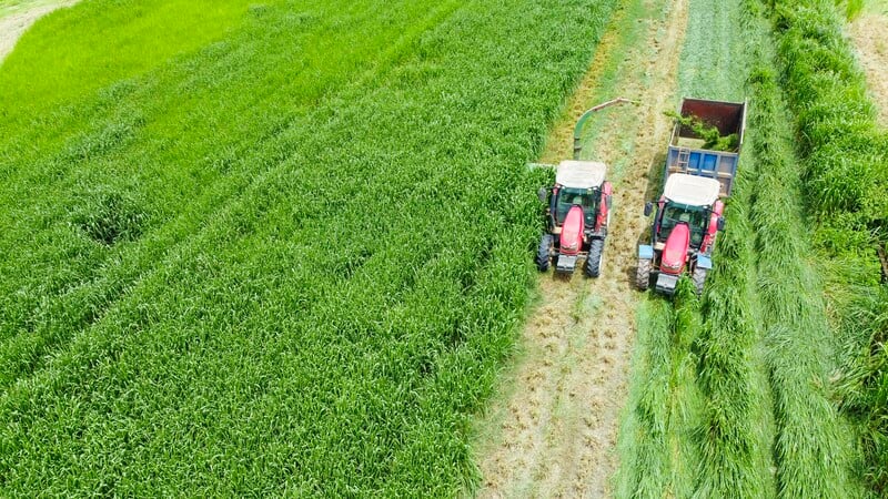 Trang trại Vinamilk green farm dưới lăng kính phát triển bền vững có gì đặc biệt? - Ảnh 11
