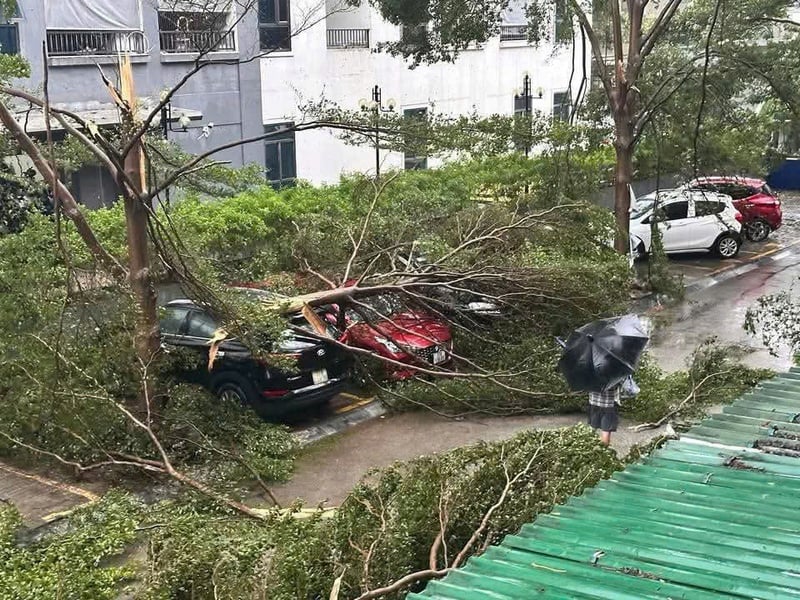 Hàng loạt cây xanh bị gãy, đổ làm hư hỏng nhiều tài sản có giá trị cao.