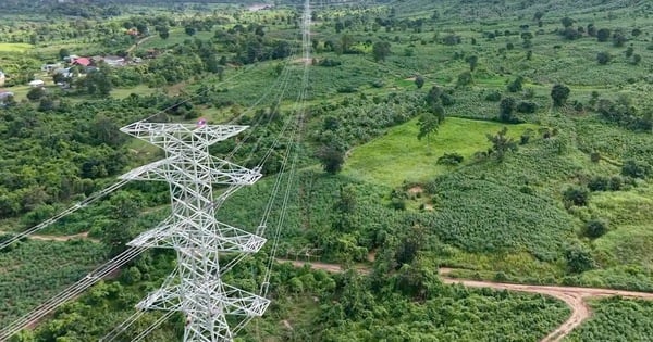 Ngày 9/1/2025, Hợp đồng tô nhượng dự án điện gió Savan 1 được trao thì chỉ 1 ngày sau, công tác xây dựng tuyến đường dây truyền tải từ Nhà máy về Việt Nam đã được tiến hành.