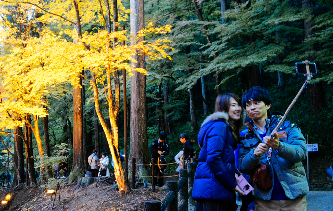 Mùa thu ở điểm ngắm lá vàng đẹp bậc nhất Nhật Bản