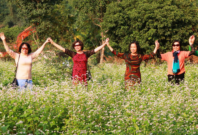 Vườn tam giác mạch “có 1 không 2” hút hồn du khách ở Ninh Bình