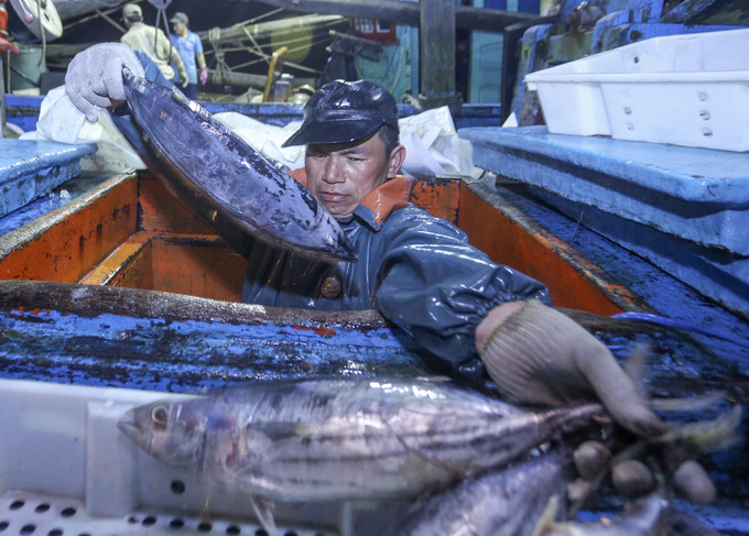 Ngư dân trúng 10 tấn cá sau chuyến đi xuyên Tết
