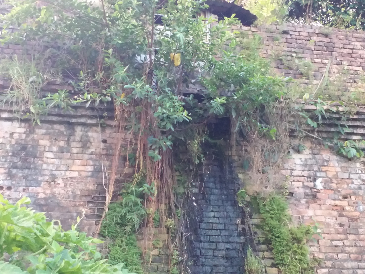 di-doi-hon-15-ngan-nhan-khau-ra-khoi-di-tich-hue