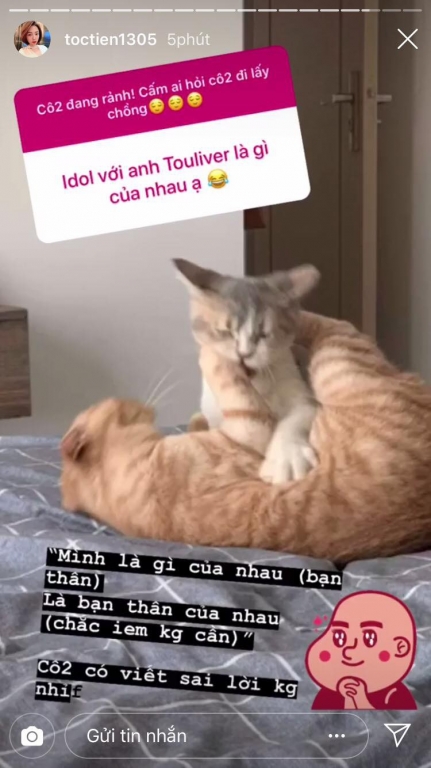 sao-viet-hom-nay