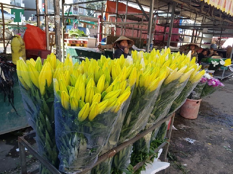 ha-noi-nong-dan-meo-mat-vi-hoa-ly-no-som