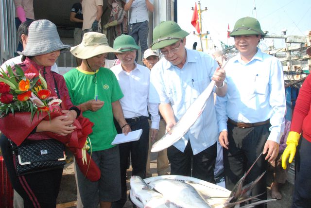 Tận mắt nhìn mẻ cá “siêu khủng” 100 tấn trong lưới ngư dân Quảng Trị - 9