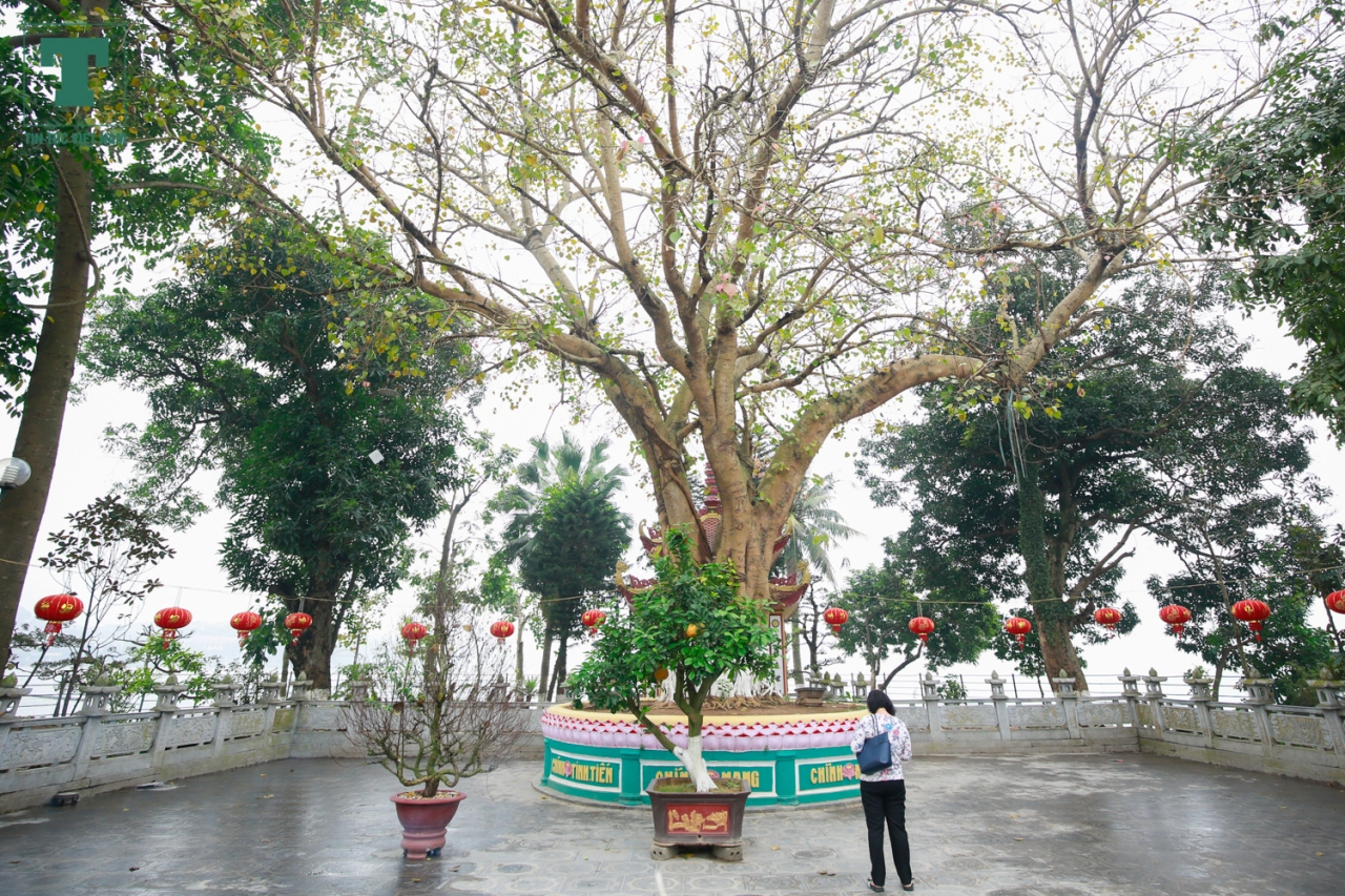 ve-dep-cua-ngoi-chua-1500-tuoi-cua-viet-nam-lot-vao-top-10-chua-dep-nhat-the-gioi