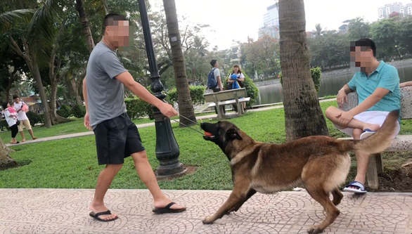 Huấn luyện chó dữ ở… công viên, người đi dạo 'phát khiếp'
