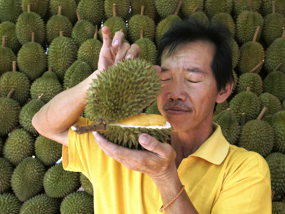 st-durian