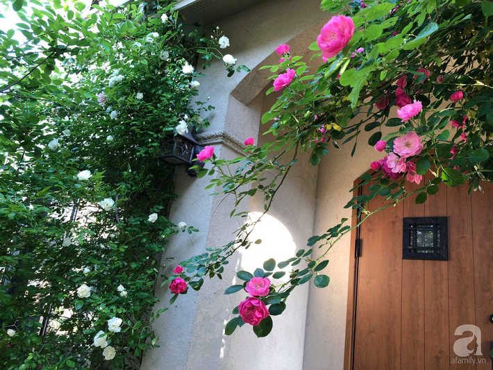 Khu vườn hoa hồng trước nhà đẹp như truyện cổ tích của người đàn ông Việt ở Nhật - Ảnh 1.