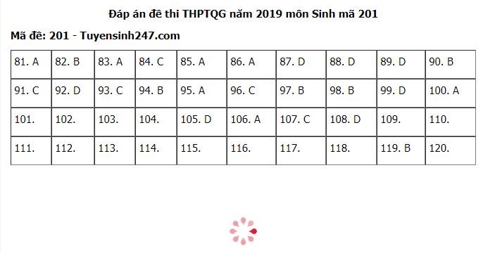 Đề thi và đáp án môn Sinh học THPT quốc gia 2019 mã đề 201